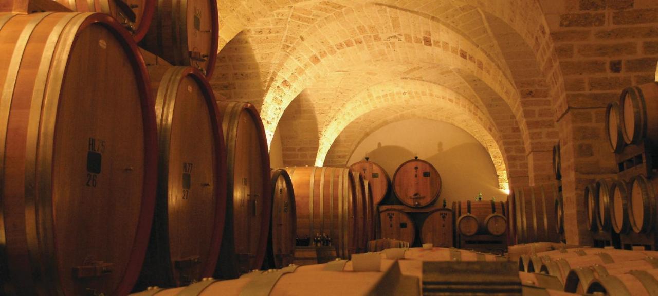 Leone De Castris Wine Hotel サリーチェ・サレンティーノ エクステリア 写真