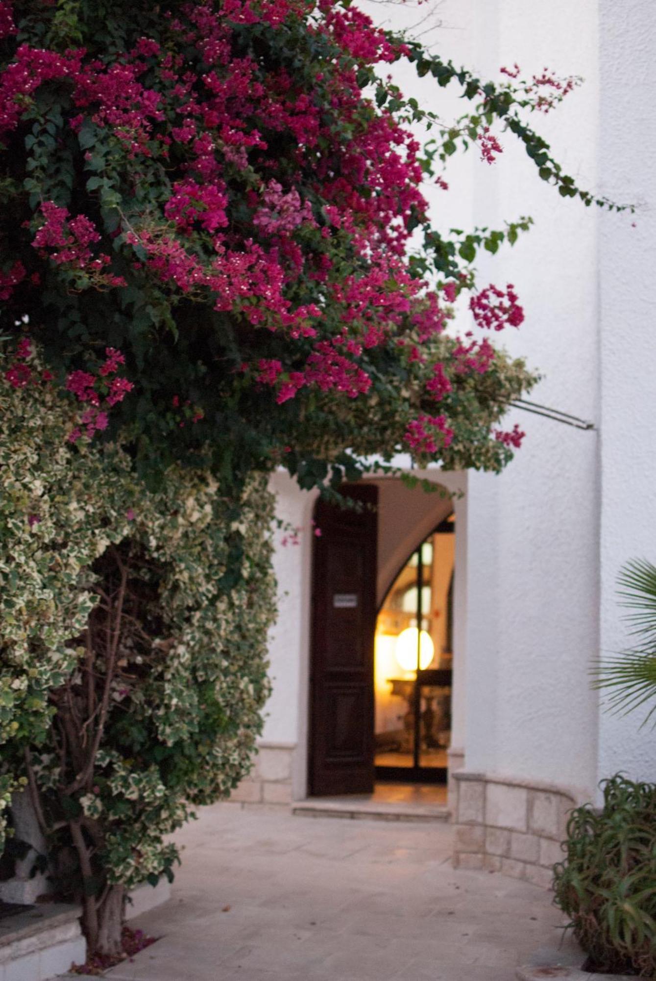 Leone De Castris Wine Hotel サリーチェ・サレンティーノ エクステリア 写真